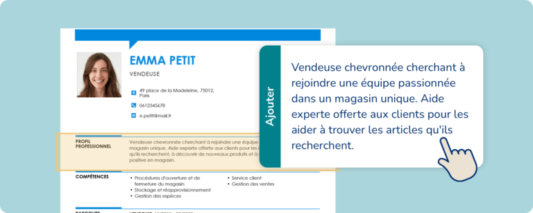 Zoom Sur La Section Profil Professionnel Dun Curriculum Vitae